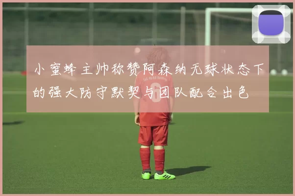 小蜜蜂主帅称赞阿森纳无球状态下的强大防守默契与团队配合出色